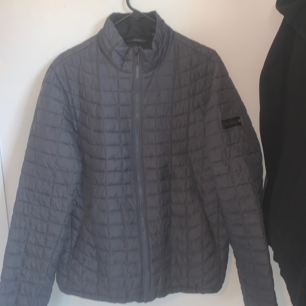 Grey puffer